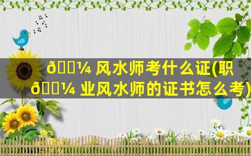 🌼 风水师考什么证(职 🐼 业风水师的证书怎么考)